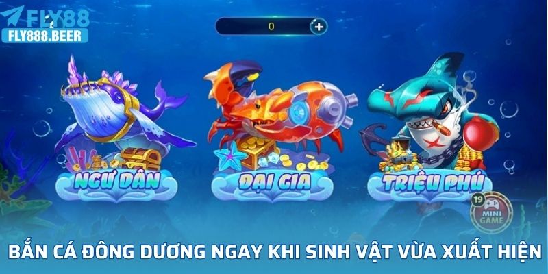 Bắn cá đông dương ngay khi sinh vật vừa xuất hiện trên màn