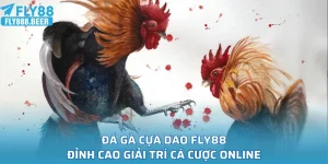 Đá Gà Cựa Dao