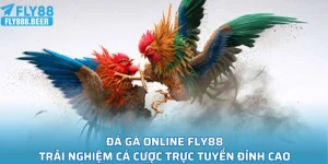 Đá Gà Online