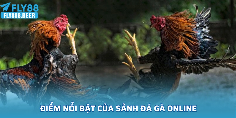 Điểm nổi bật của sảnh đá gà online FLY88