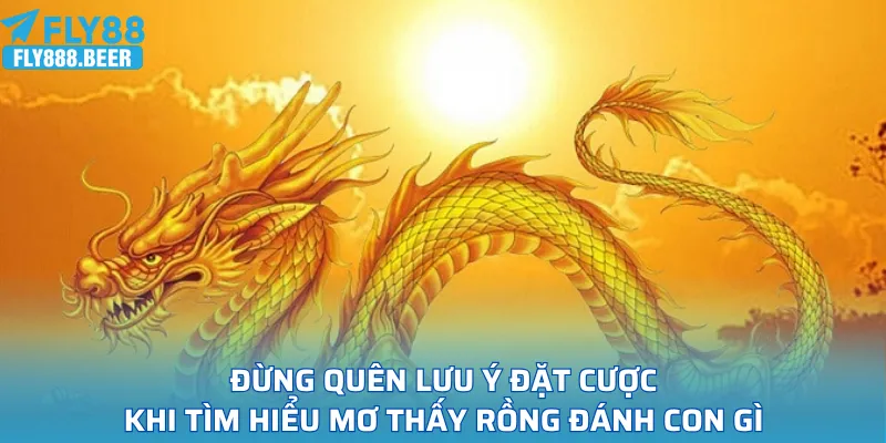 Đừng quên lưu ý đặt cược khi tìm hiểu mơ thấy rồng đánh con gì