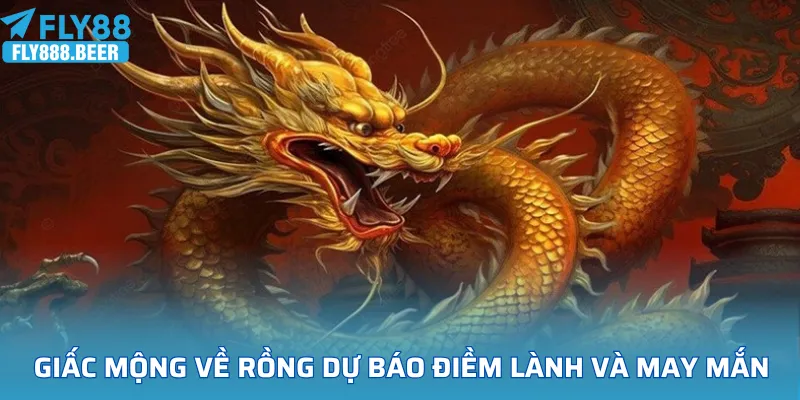Giấc mộng về rồng thường dự báo điềm lành và may mắn