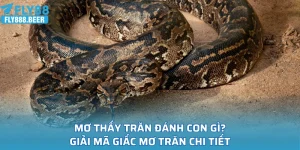 Mơ Thấy Trăn Đánh Con Gì