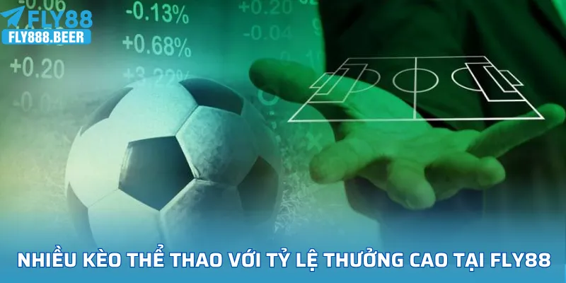 Nhiều kèo thể thao có tỷ lệ trúng thưởng cao đang được FLY88 cung cấp