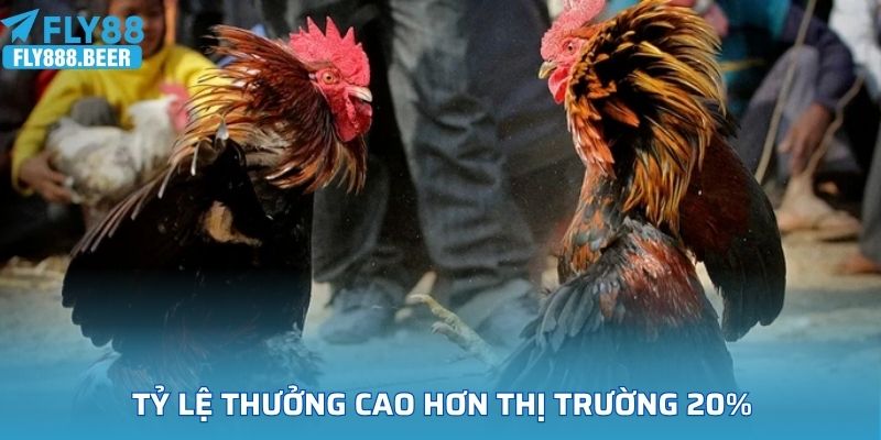 Tỷ lệ thưởng cao hơn thị trường 20%